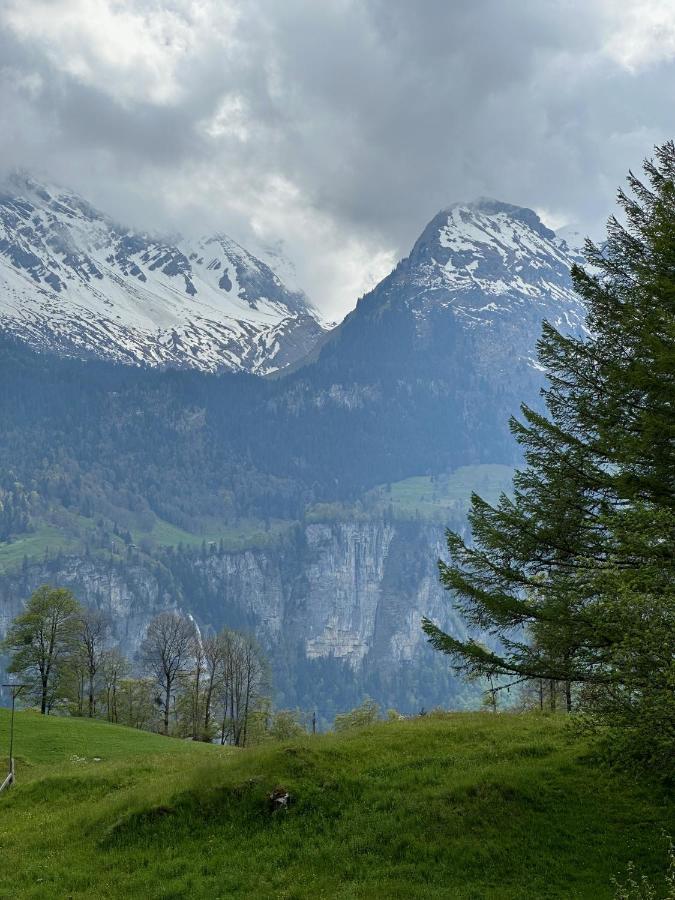 Chalet Bruenig マイリンゲン エクステリア 写真