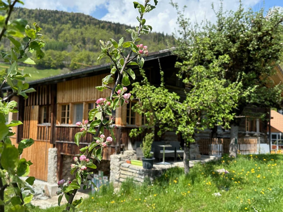 Chalet Bruenig マイリンゲン エクステリア 写真