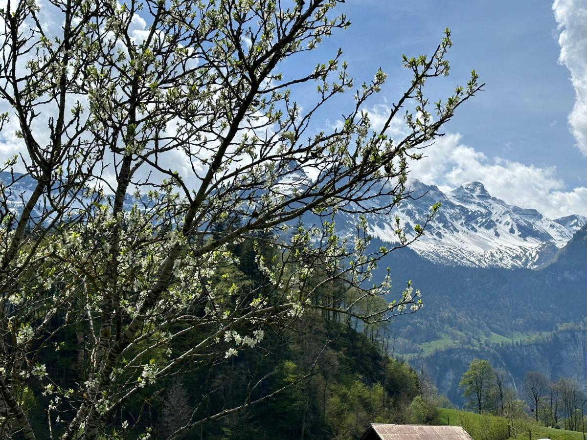 Chalet Bruenig マイリンゲン エクステリア 写真