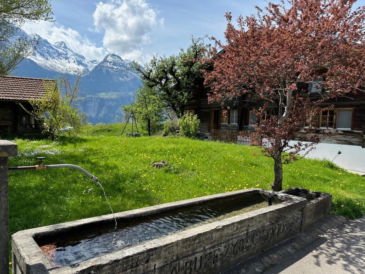 Chalet Bruenig マイリンゲン エクステリア 写真