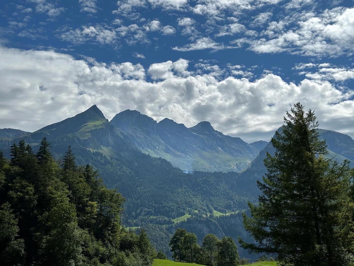 Chalet Bruenig マイリンゲン エクステリア 写真
